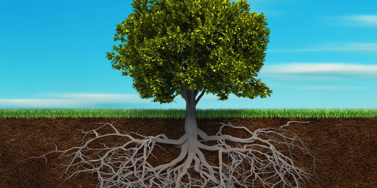 Rooted, Grounded, and Dwelling