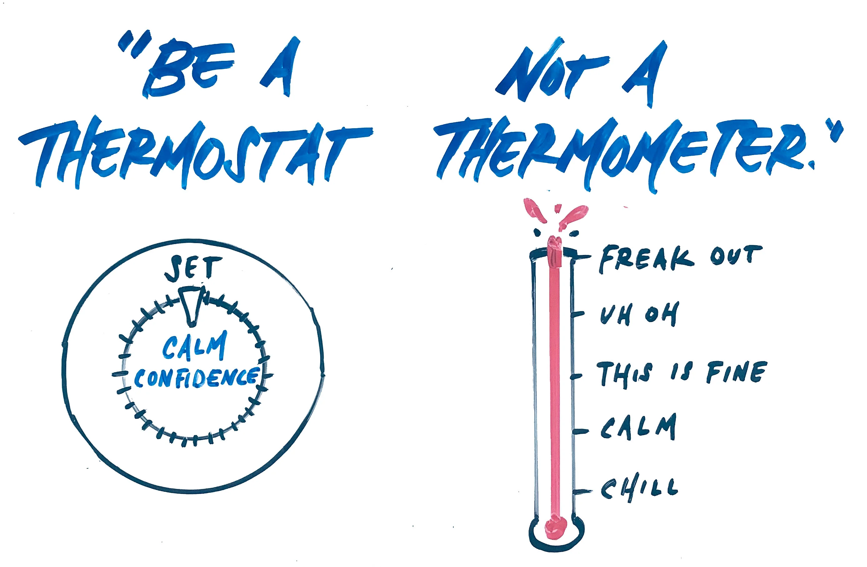 Thermometer or Thermostat